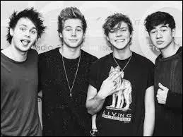 Dans quelle ville ont-ils été découverts ?