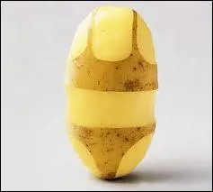 Langue française - A quoi un économe ne sert-il jamais ?