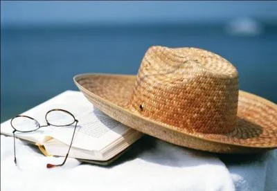 Qui est l'auteur du roman "les grandes vacances" ?