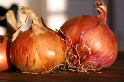 Selon la réforme orthographique de 1990, comment pouvez vous écrire le nom de cette plante potagère ?