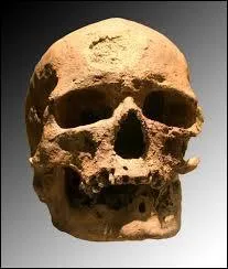 "L'homme de Cro-Magnon" a été chanté par les Quatre Barbus, et selon eux... l'homme de Cro, de Magnon ce n'est pas...