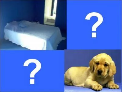 Quelle est la bonne réponse ?