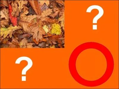 Quelle est la bonne réponse ?