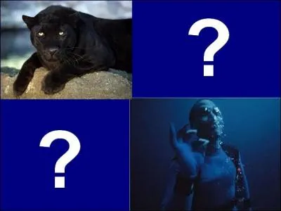 Quelle est la bonne réponse ?