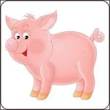 Le cochon est l'animal le plus propre de la ferme ?