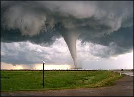 Une tornade est un tourbillon de vents violents voire extrêmes. Mais où prend-il naissance ?