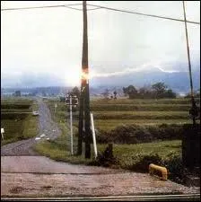 Eh oui, cela existe bien une foudre en boule qui peut mesurer jusqu'à des dizaines de centimètres de diamètre. Mais qu'est-ce qui s'est passé pour que ce phénomène existe ?