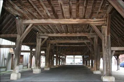 Dans quel département devrez-vous aller pour voir Lorris, patrie du célèbre Guillaume de Lorris, auteur de la première partie du "Roman de la Rose"?