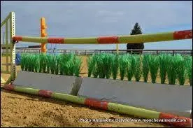 Quel est ce saut d'obstacle?