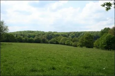 Quelle est la taille du domaine vital du chevreuil ?