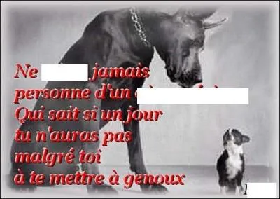 Quand il ne s'agit pas de définir la taille de quiconque que veut dire « toiser » ?