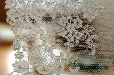 Cela forme le dessin d'une dentelle.