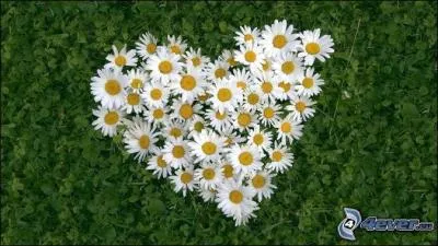 Que pouvez-vous apercevoir ?