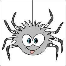 SVT : Comment appelle-t-on la peur des araignées ?