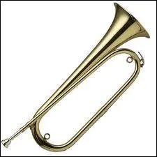 Comment se nomme cet instrument de musique ?