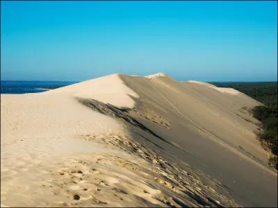 Le département de la Gironde n'est pas limitrophe de celui :