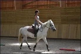 Au trot pour équilibrer le cheval, il faut trotter sur le bipède diagonal...