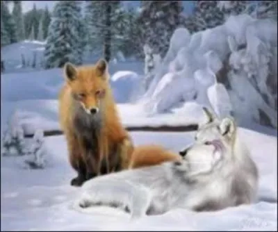 Je crois qu'il en sait plus; et j'oserais peut-être avec quelque raison contredire mon maître. Quelle est cette fable ?