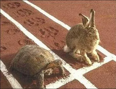 Aller son train de Sénateur. Elle part, elle s'évertue; elle se hâte avec lenteur. Quelle est cette fable ?