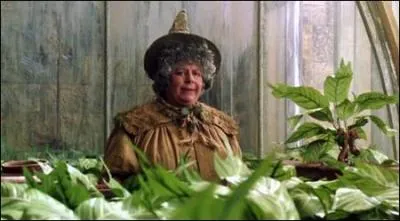 Le prénom du professeur Chourave est Pomona, mais dans quel tome apparaît pour la première fois le prénom de celle-ci ?