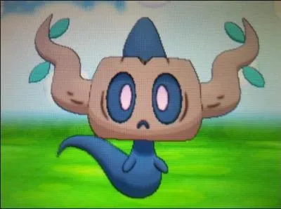 Quel est ce Pokémon ?