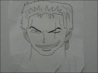 Je viens du manga 'One Piece'. J'ai trois sabres et un mauvais sens de l'orientation.