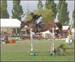 Comment s'appelle cette phase du saut ?