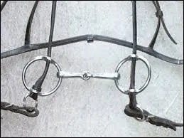 Est-on obligé de monter avec un mors ?