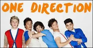 J'ai été à un moment fan des One Direction. Qui sont leurs fans ?