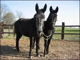 Si vous ne voulez pas admettre une erreur, on peut vous dire que vous êtes ...