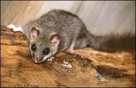 Si vous dormez profondément, on peut vous dire que vous ...