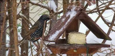 Ne considérez pas cette dernière réponse comme une valeur négligeable, car ce n'est pas ...