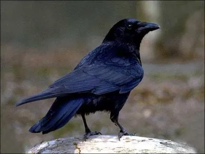 Je serai béat d'admiration si vous trouvez cette expression !