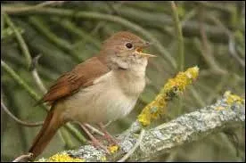 Il m'est souvent arrivé sur les brocantes d'avoir quelques invendus, c'est sans doute de là que vient cette expression !