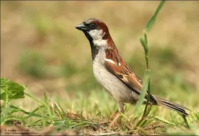 Ca nous est arrivé à tous !