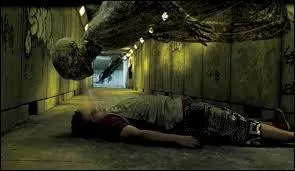 Pourquoi Sirius Black est-il le seul de l'histoire de la sorcellerie sur qui les détraqueurs, gardiens d'Azkaban, n'ont eu aucun effet ?