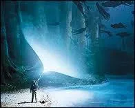 Quelle forme prend le patronus de Harry Potter ?