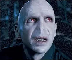 Quel est le vrai nom de Voldemort ?