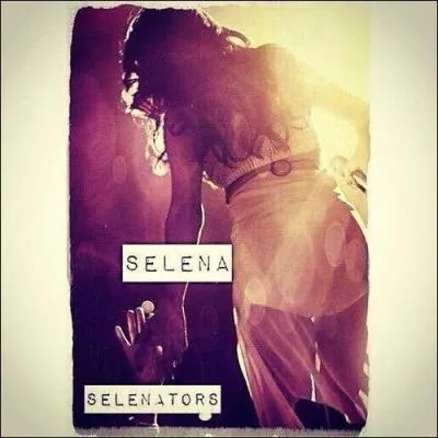 Pour quelle raison a-t-elle arrêté le Stars Dance Tour fin 2013 ?