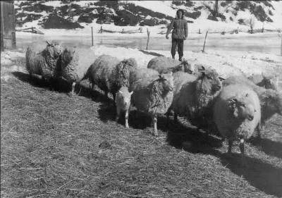 Cette Fédération a soumis 2 recommandations au Congrès provincial 2014 sur : 
 1) Le maintien des services postaux à domicile;
 2) Pénurie d'infirmiers et d'infirmières.
Vous pourrez y faire une belle chasse, dans cette région !