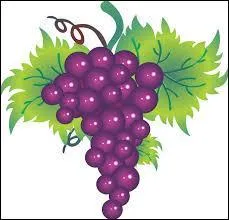 Qui est le directeur de la colonie ?