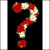 Si je vous dis : Marie, forêt, vigne, à quoi pensez-vous ?