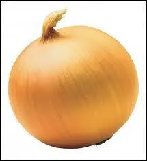 Que dit un oignon quand il se cogne ?