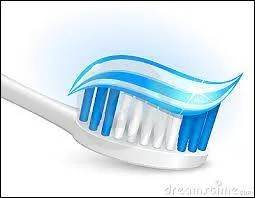 Que font deux brosses à dents le 14 juillet ?