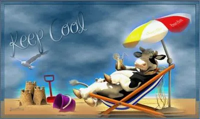 "L'été s'ra chaud". Qui a chanté ce tube de l'été 1979 ? (clip à voir ! )