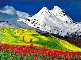 Pouvez-vous me donner la définition de "soulane" ?