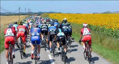 Quelle est la distance de cette 19e étape du Tour de France ?