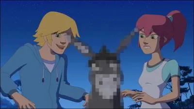 Comment s'appelle cet équidé ?