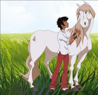 Comment s'appelle ce cheval ?