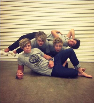 Qu'est-ce qui le différencie des autres membres du groupe ?